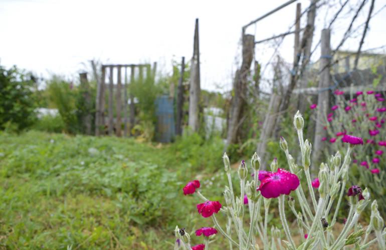 Jardins familiaux.