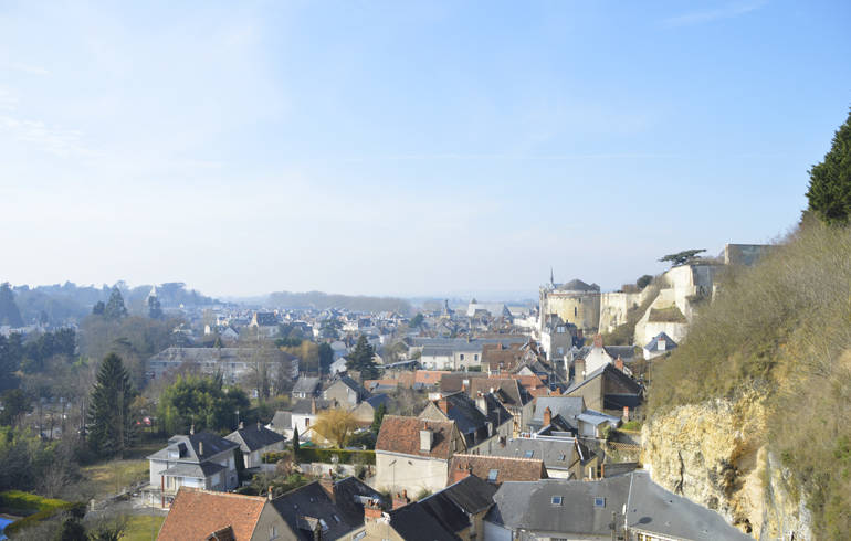 Vue sur la ville d'Amboise.