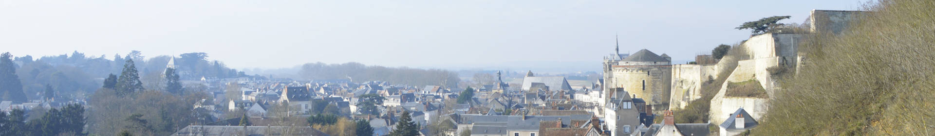Vue sur les toits de la ville d'Amboise.