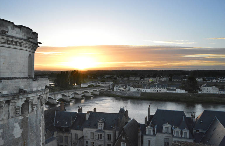 Vue du Château Royal de la Loire.