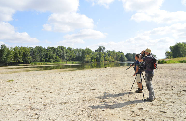 Balades sur les bords de Loire.