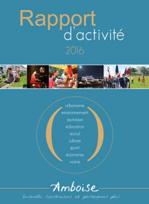 Rapport d'activité 2016