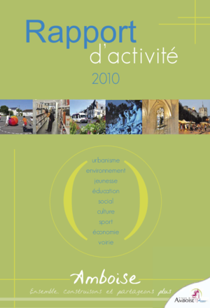 Rapport d'activité 2010