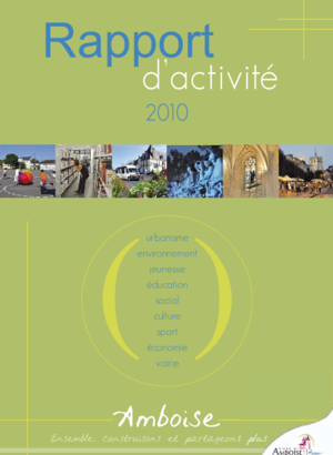 Rapport d'activité 2010