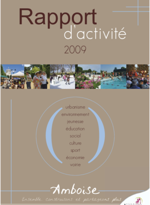 Rapport d'activité 2009
