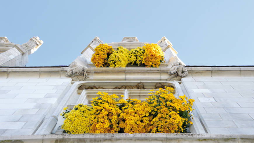 Vue en contre-plongée des fenêtres du Musée-Hôtel Morin où sont placées des chrysanthèmes jaunes.