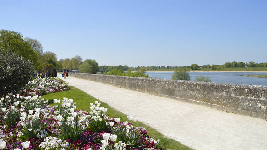 Parterre de fleurs sur les bords de Loire avec vue sur la Loire et ciel bleu.