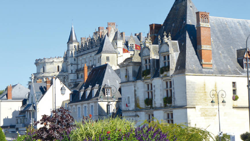 Vue sur la façade du château d'Amboise et du Musée - Hôtel Morin. Avec au premier plan des buissons et des fleurs.