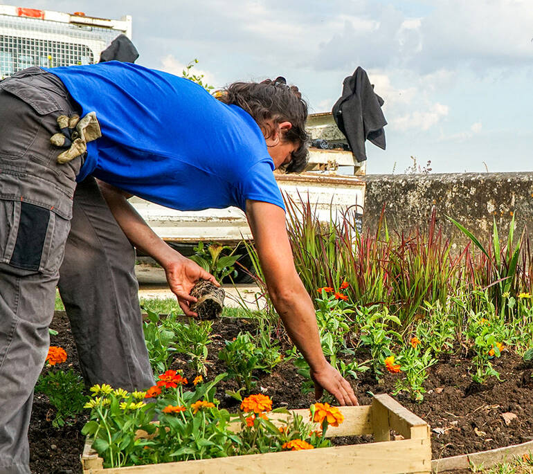 Un agent des espaces verts de la ville est en train de planter des fleurs.