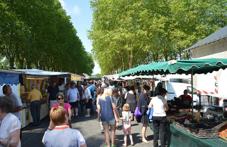 Vivre à Amboise | Ville d'Amboise - Site officiel