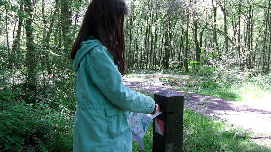 Un enfant valide sur une borne en bois sa carte de parcours d'orientation au milieu de la forêt.