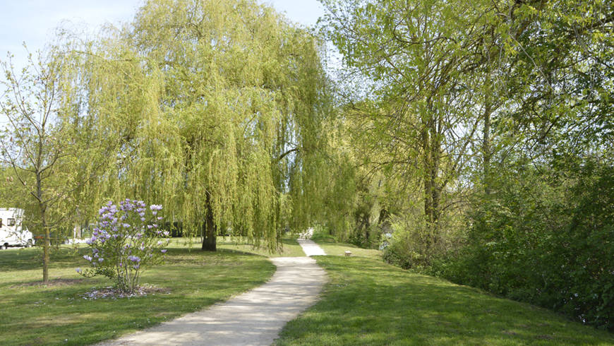 Vue sur le chemin de Clovis, sentier qui borde l'Île d'Or.