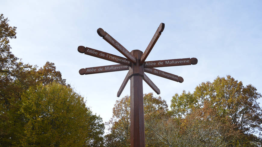 Mât de direction dans le bois de la Moutonnerie.