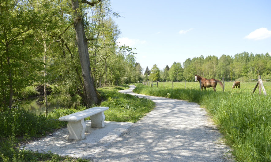 Un chemin blanc long la rivière l'Amasse. Au bord du chemin, un banc et une prairie avec 2 chevaux.