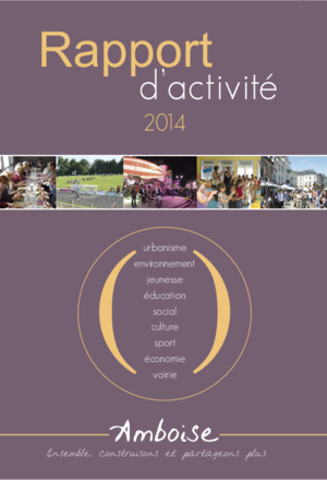 Rapport d'activité 2014