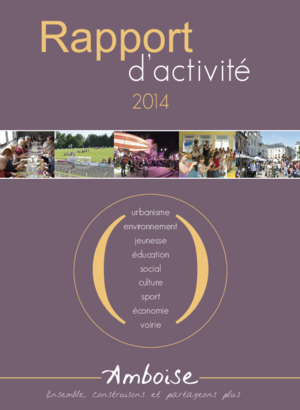 Rapport d'activité 2014