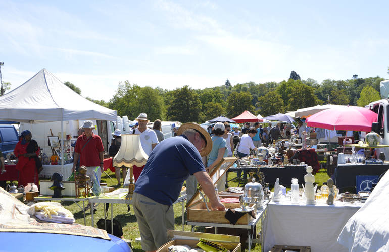 Brocante professionnelle sur l'Île d'Or. Vue des stands avec vendeurs et promeneurs.