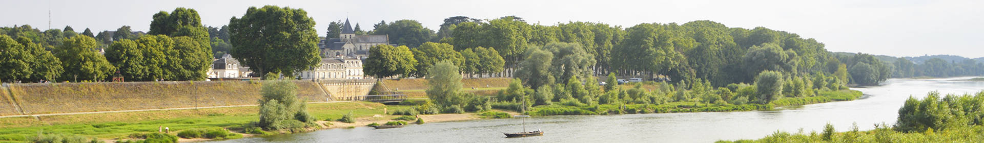 Vue sur la Loire avec en second plan la ville d'Amboise.