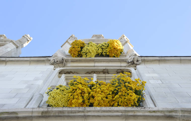 Hôtel - Morin en fleurs.