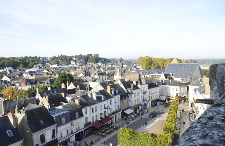 Vue sur le centre-ville d'Amboise depuis le château