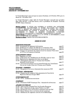 Compte rendu du conseil municipal du 7 novembre 2018