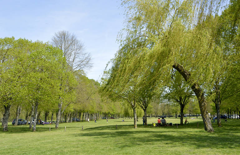 Grande prairie enherbée avec arbres et personnes profitant de l'espace naturel.