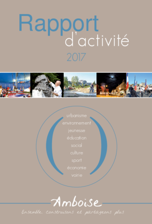 Rapport d'activité 2017
