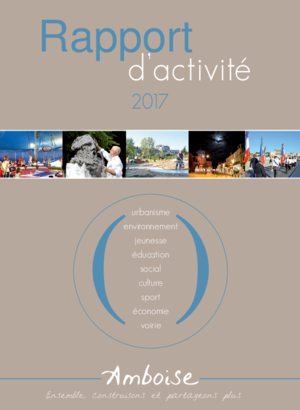Rapport d'activité 2017