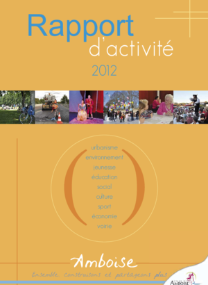 Rapport d'activité 2012