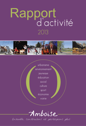 Rapport d'activité 2013
