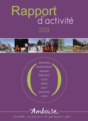 Rapport d'activité 2013