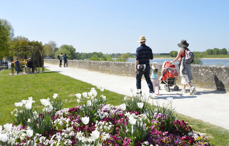 Bords de Loire à Amboise avec au premier plan un parterre de fleurs et au second plan une famille.