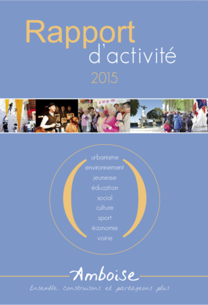 Rapport d'activité 2015