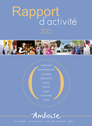 Rapport d'activité 2015