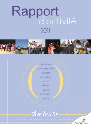 Rapport d'activité 2011