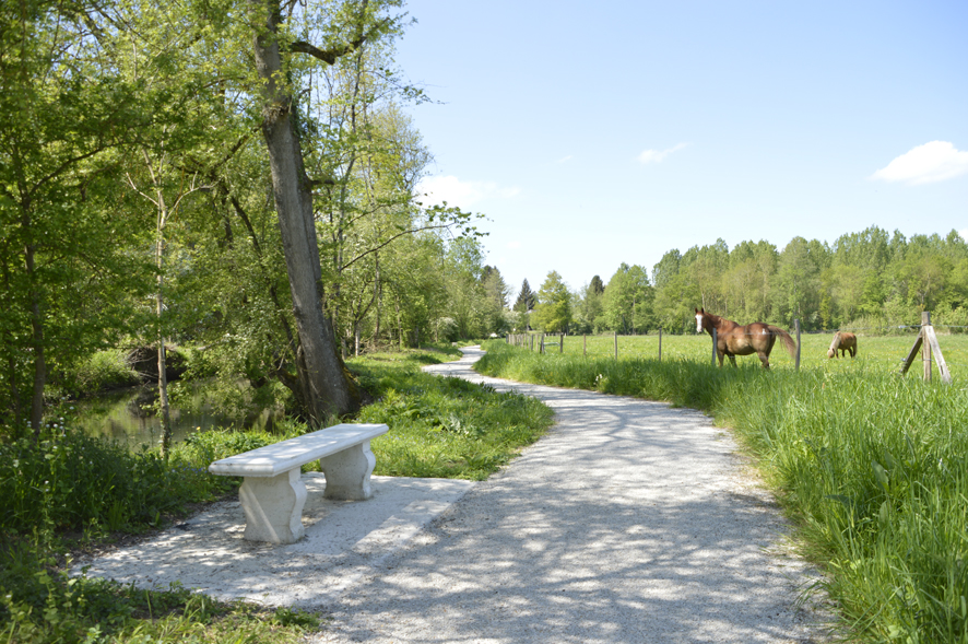 Un chemin blanc long la rivière l'Amasse. Au bord du chemin, un banc et une prairie avec 2 chevaux.
