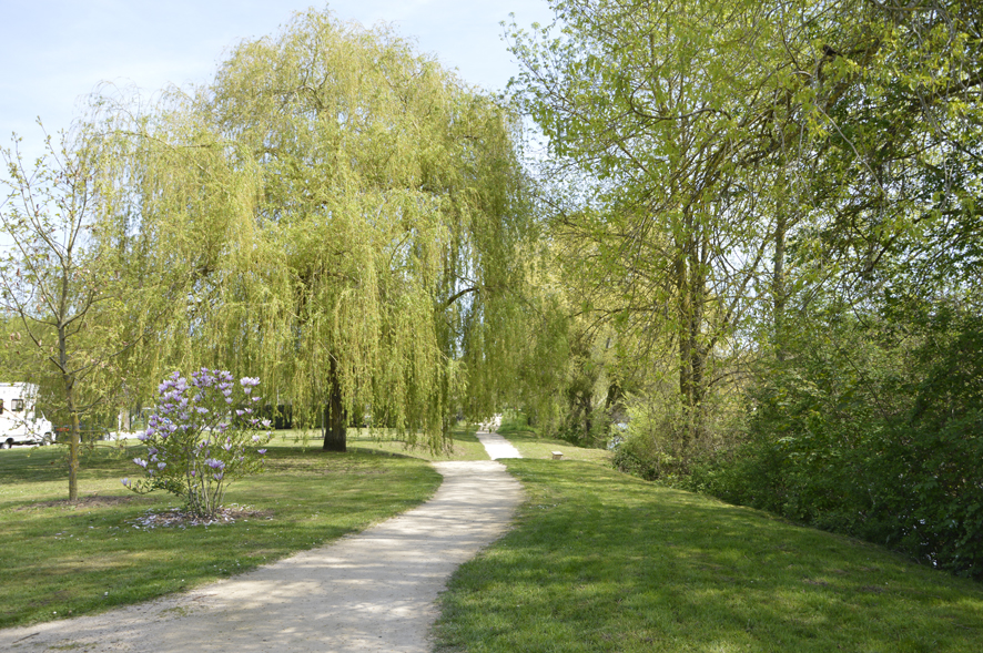 Vue sur le chemin de Clovis, sentier qui borde l'Île d'Or.