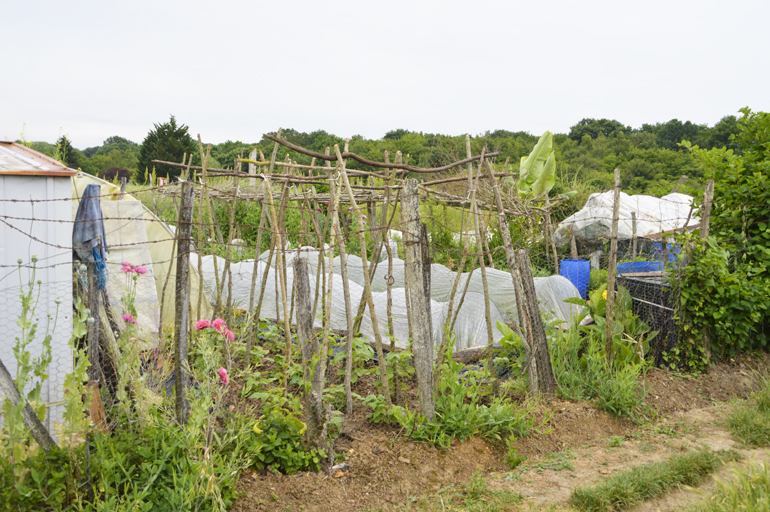 Jardin potager dans le quartier de la Verrerie.